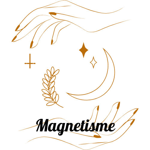 Magnétisme