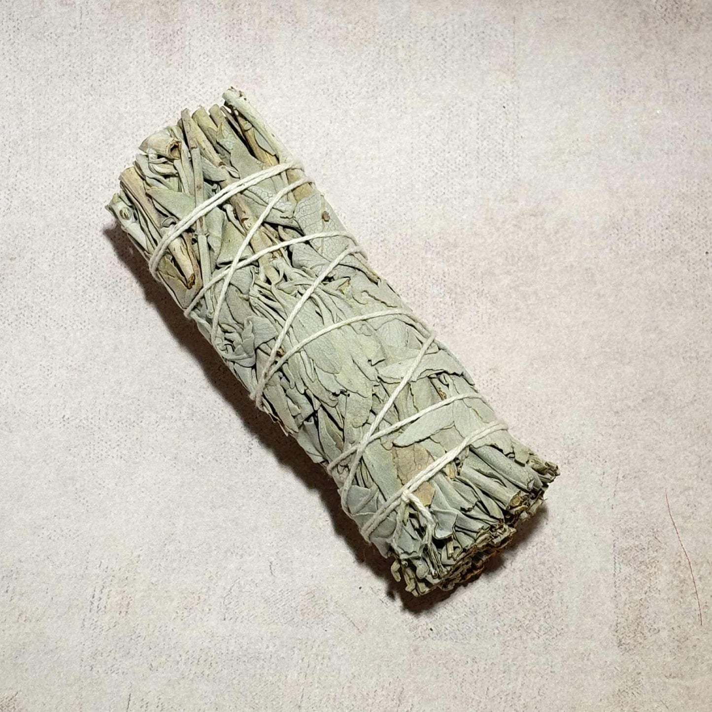 Bâton Sauge Californienne