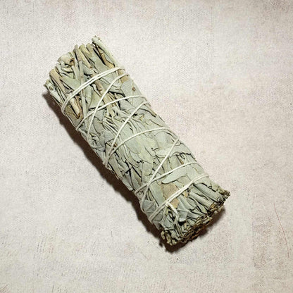 Bâton Sauge Californienne